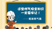 国产精品视频y,探寻中国影视艺术的魅力与深度